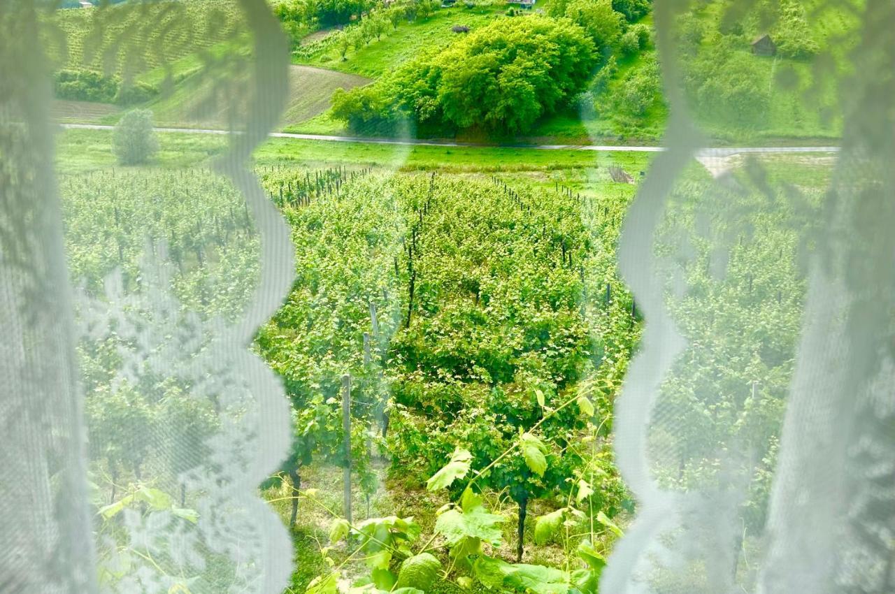 Wine Paradise Sveti Ivan Zelina 외부 사진