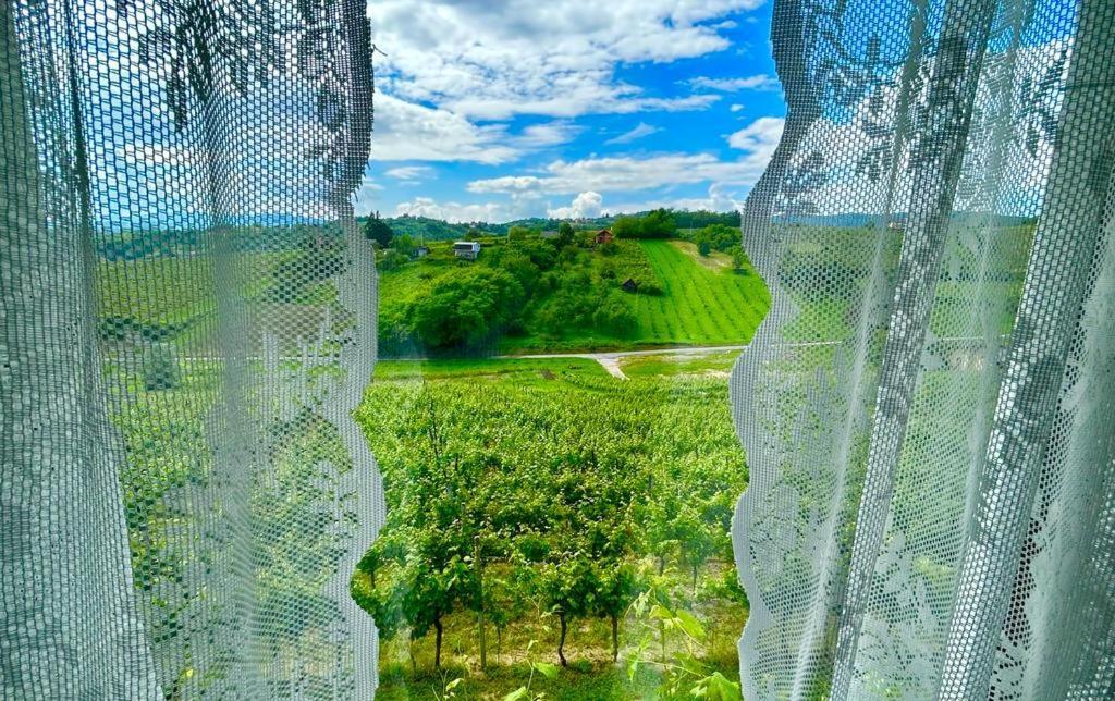 Wine Paradise Sveti Ivan Zelina 외부 사진