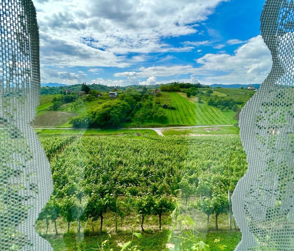 Wine Paradise Sveti Ivan Zelina 외부 사진