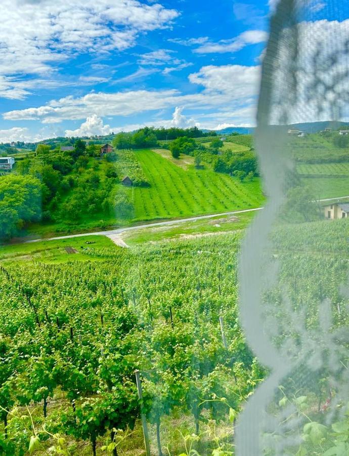 Wine Paradise Sveti Ivan Zelina 외부 사진