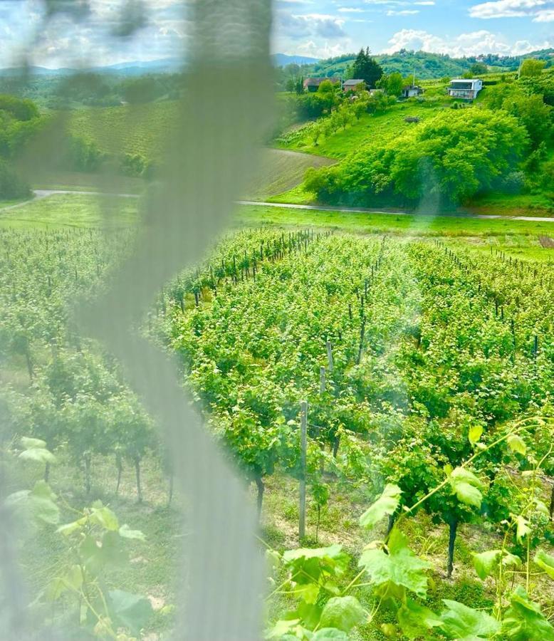 Wine Paradise Sveti Ivan Zelina 외부 사진
