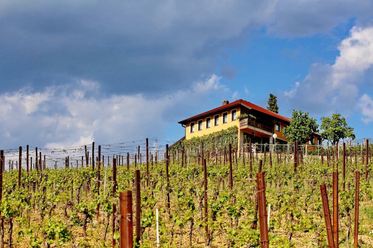 Wine Paradise Sveti Ivan Zelina 외부 사진