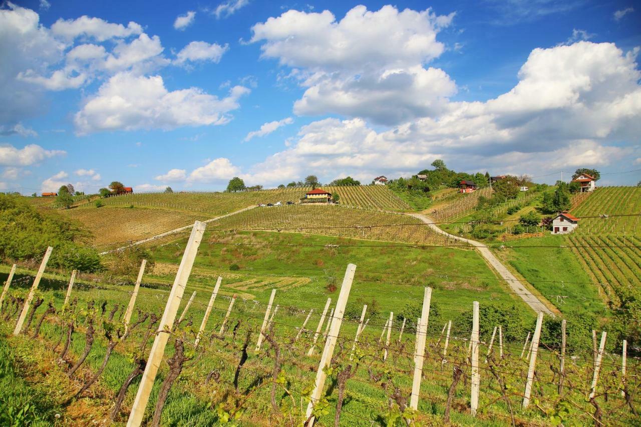 Wine Paradise Sveti Ivan Zelina 외부 사진