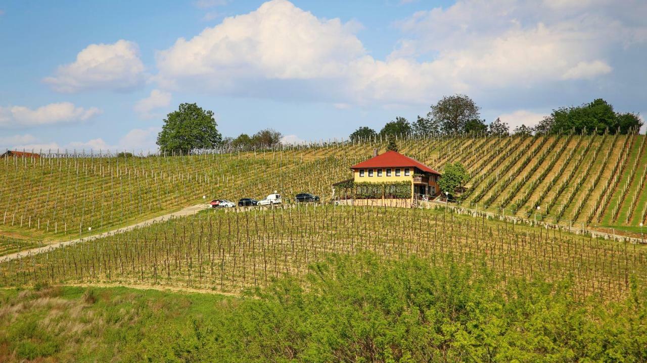 Wine Paradise Sveti Ivan Zelina 외부 사진